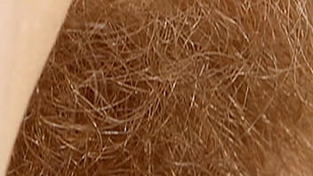 Close Up Hairy Sex