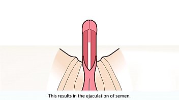Male Touchless Orgasm