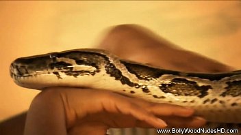 Big Snake In Pussy Porn Movie