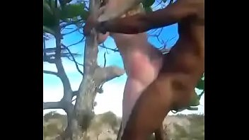 Monkey Sex