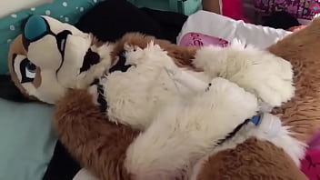 Fursuit Porn Gif