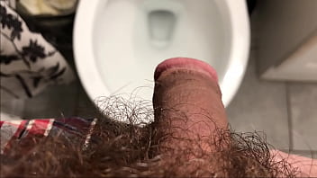 Gay Toilet Porn