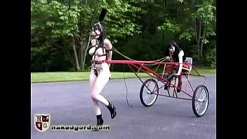 Ponygirl Carriage
