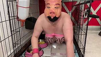 Fuckpig Porn Justafilthycunt Dégradation Humiliante Cochon Pisser Pisse En Cage Boire Et Manger Dans Des Bols