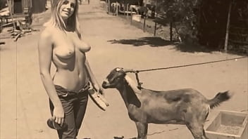 Vintage Bizaros Porn Dog