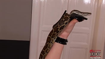 Porn Snake Girl