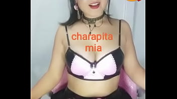 Charapita Mia Devient Femme De Ménage-927922268