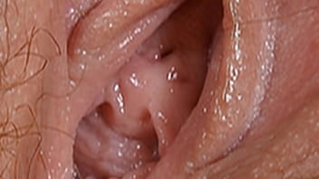 Pink vagina close up