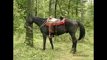 Branlette en forêt