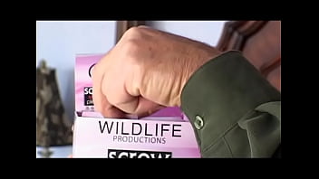 Wildlife aid twitter