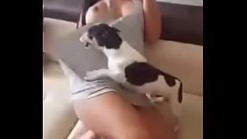 Porno con perros