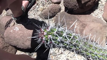 Cactus prono