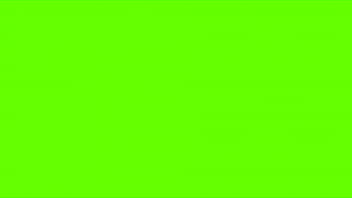 Green screen handy