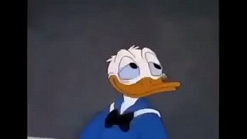 Donald duck videos