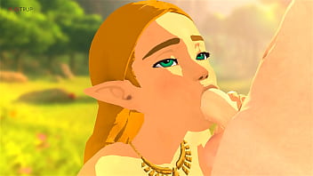 Princess zelda