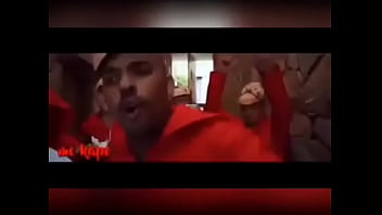 Gato lambe o peito da MC pipokinha