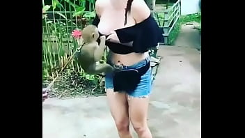 Monkey girl sex video