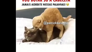 Me pipoquinha com um gato safado