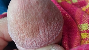 Cock close-up