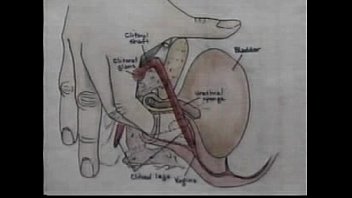 Clitoral stimulation techniques