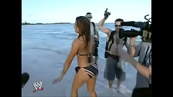 Wwe divas fakes