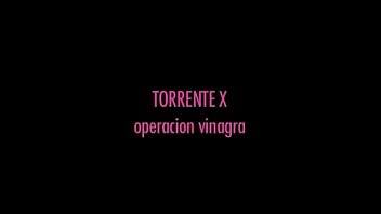 Gay-torrent