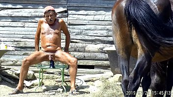 Horse dildo porn gay