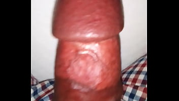 8 inch penis