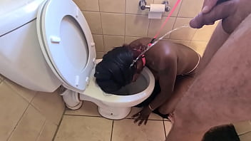 Toilet lick