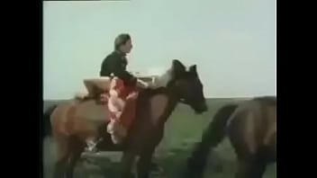 Pferde haben sex