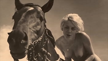 Horse to women sex video