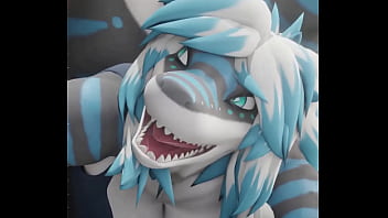 Shark furry