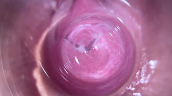 Inside vagina camera porn