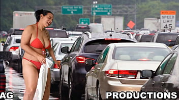 Buddha in a traffic jam free download