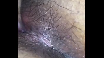 Novinhacom escva