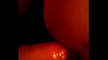 Zoofolia videos