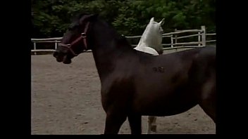 Sandra orlow early days set : sandra orlow nude rarl xvideo xvideos
