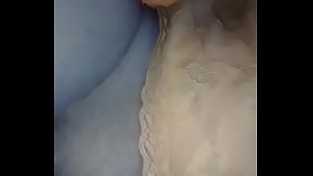 Novina bucetuda