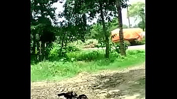 Cumin cumi b bullockujur bhum bhumihar tumihargnb bullo bumrahckukk