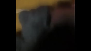 Bear sophie24