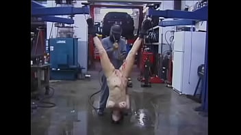 Homem fazz sexo com cadela