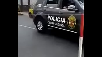 De donde es el gatiman honestidad