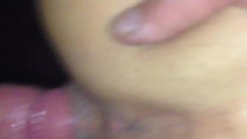 Faylaott.com