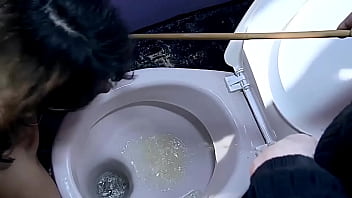 我喜欢的人刘 最新资讯