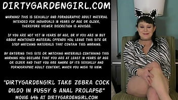 Zebra xvideo