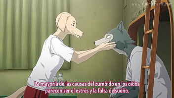 Arafta ep 24 eng sub bilbili