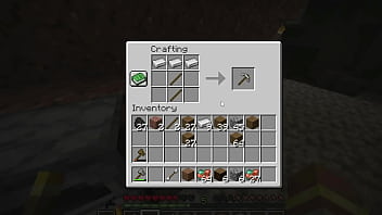 What food attracts pigs in minecraft