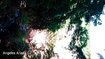 Válvula neumática Aire Resorte de mariposa Nocado D 3 quot de acero inoxidable con actuador neumático y con soporte sensor de proximidad