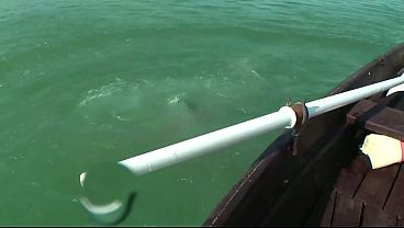 Yacht hits boat sarasota fl