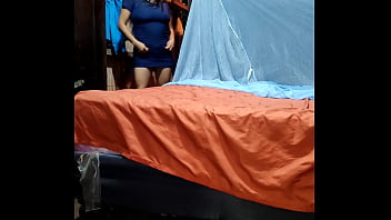 Cama coche perro